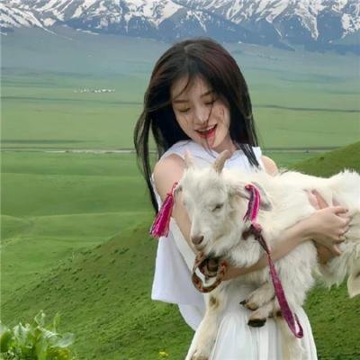 廉政狙击粤语